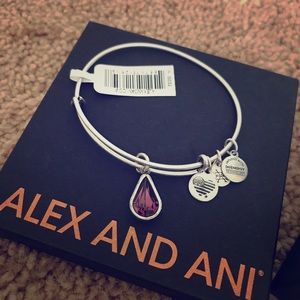 Alex and Ani color code collection